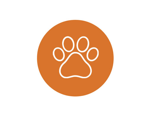 Pet Friendly Rentals