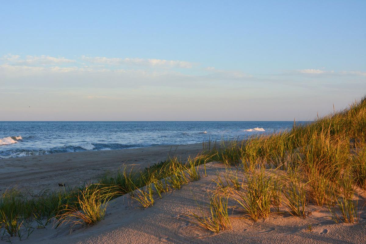 5 Tips When Visiting the Pea Island National Wildlife Refuge