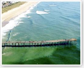 Corolla Vacation Rentals