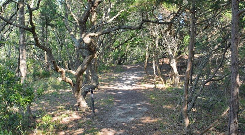 Buxton Woods Reserve