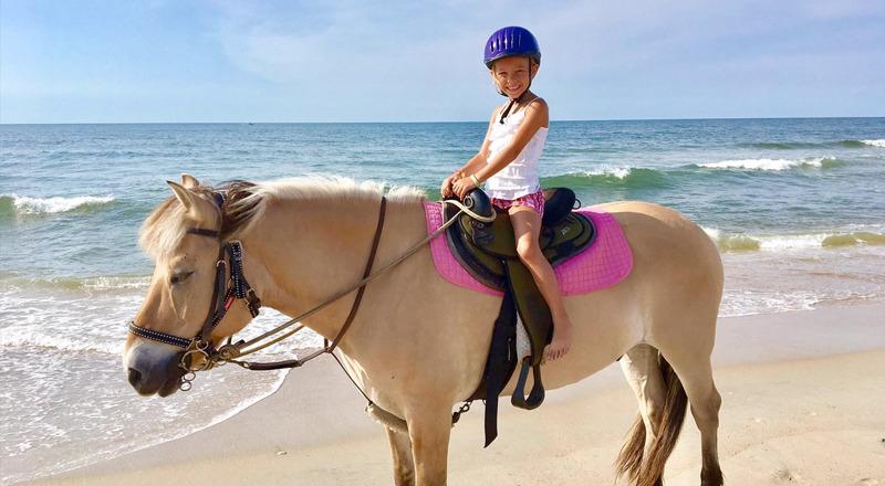 Hatteras Island Beach Horseback Riding
