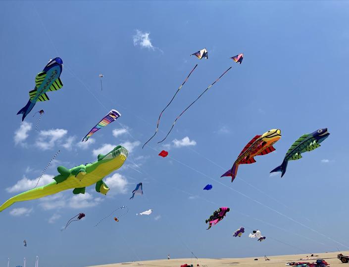https://www.kittyhawk.com/event/rogallo-kite-festival/