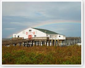 Kitty Hawk Vacation Rentals