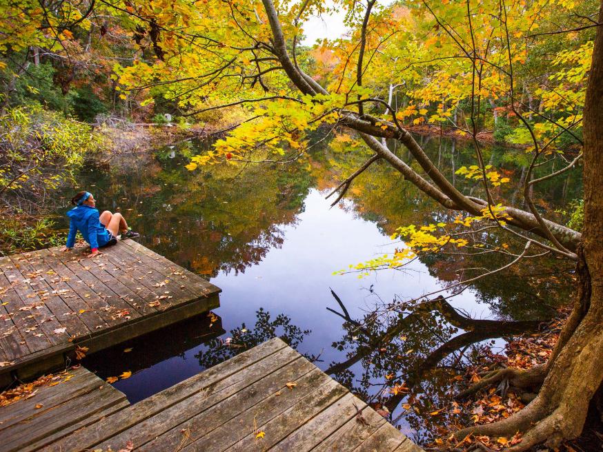 Nags Head Woods Preserve