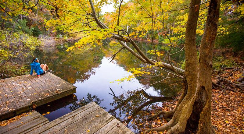Nags Head Woods Preserve