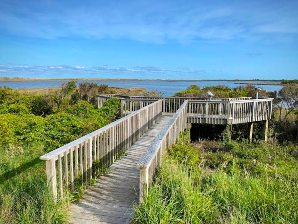 Pea Island National Wildlife Refuge