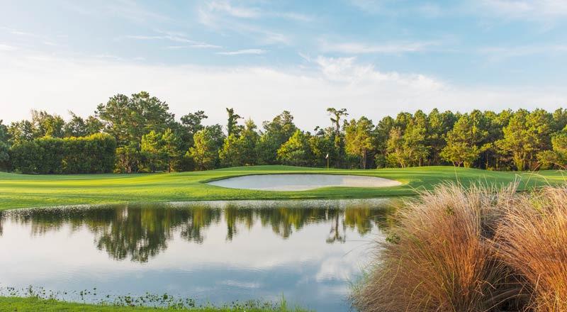 The Pointe Golf Club