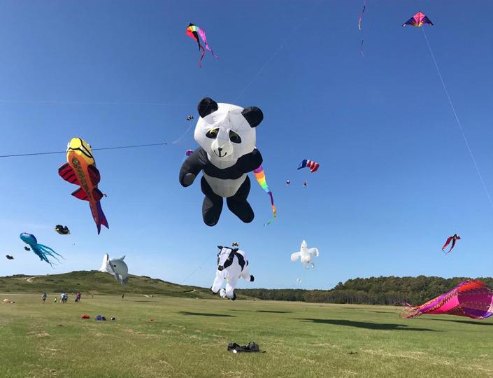 https://www.kittyhawk.com/event/wright-kite-festival/